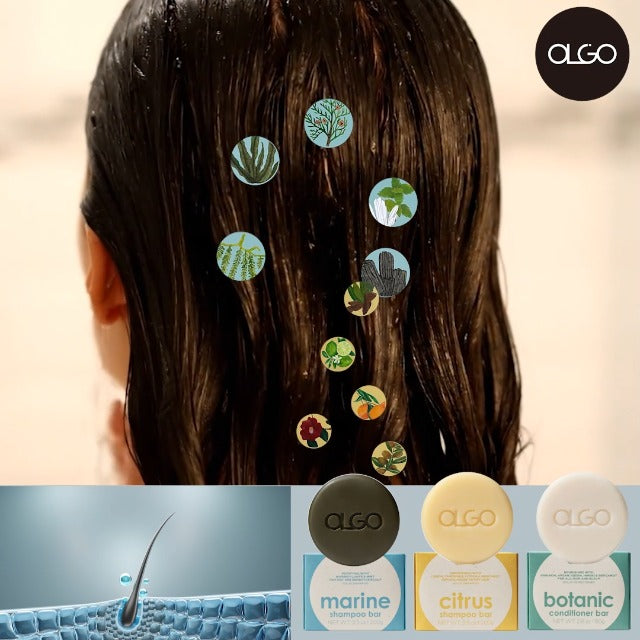 OLGO Citrus Shampoo Bar 3.5oz - Soap Free Solid Shampoo & Wash | Head to Toe for All Ages | Citrus, Argan Oil, Jojoba Oil, Shikakai | Vegan, Sustainable Formula - No Sulfates, Parabens, Phthalates