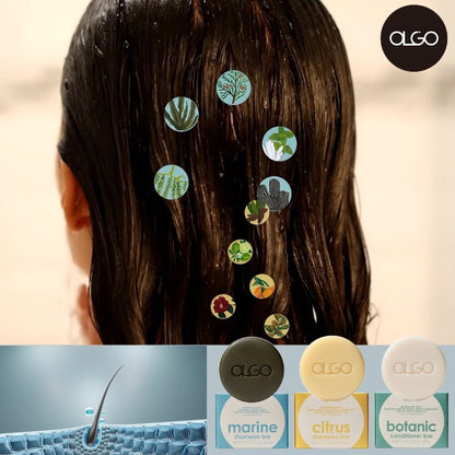 OLGO Botanic Conditioner Bar 2.8oz - Vegan, Sulfate-Free, Silicone-Free | Sustainable | Nourishing Argan, Jojoba, Shea Butter & Bergamot for Shiny, Healthy Hair