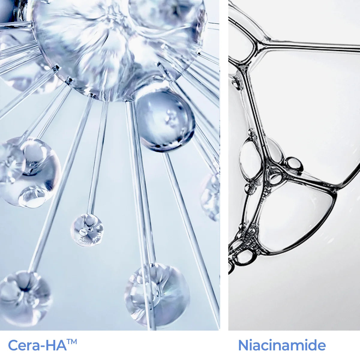 Aestura Atobarrier365 Hydro Cera-HA Serum dropper detail