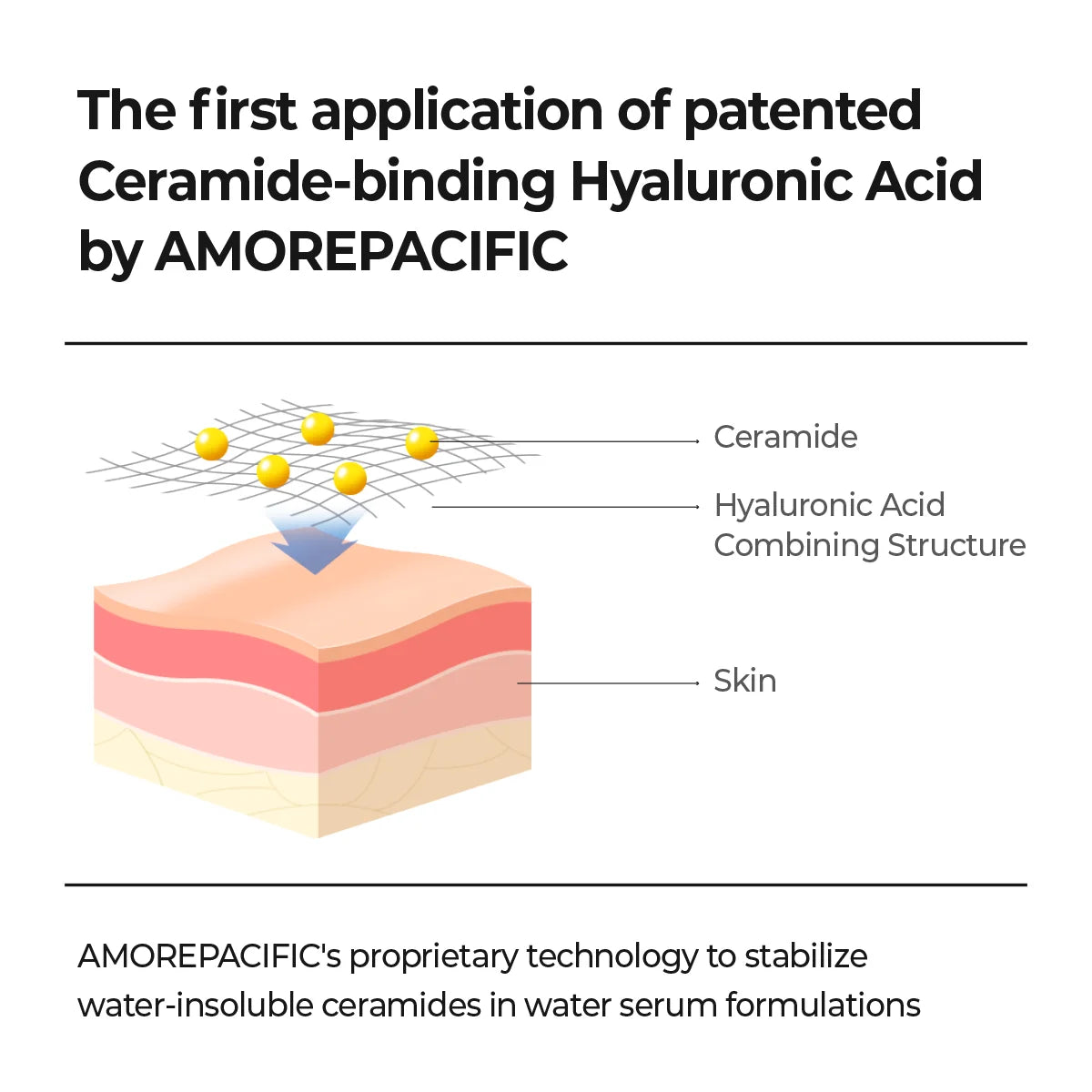 Aestura Atobarrier365 Hydro Cera-HA Serum key technology